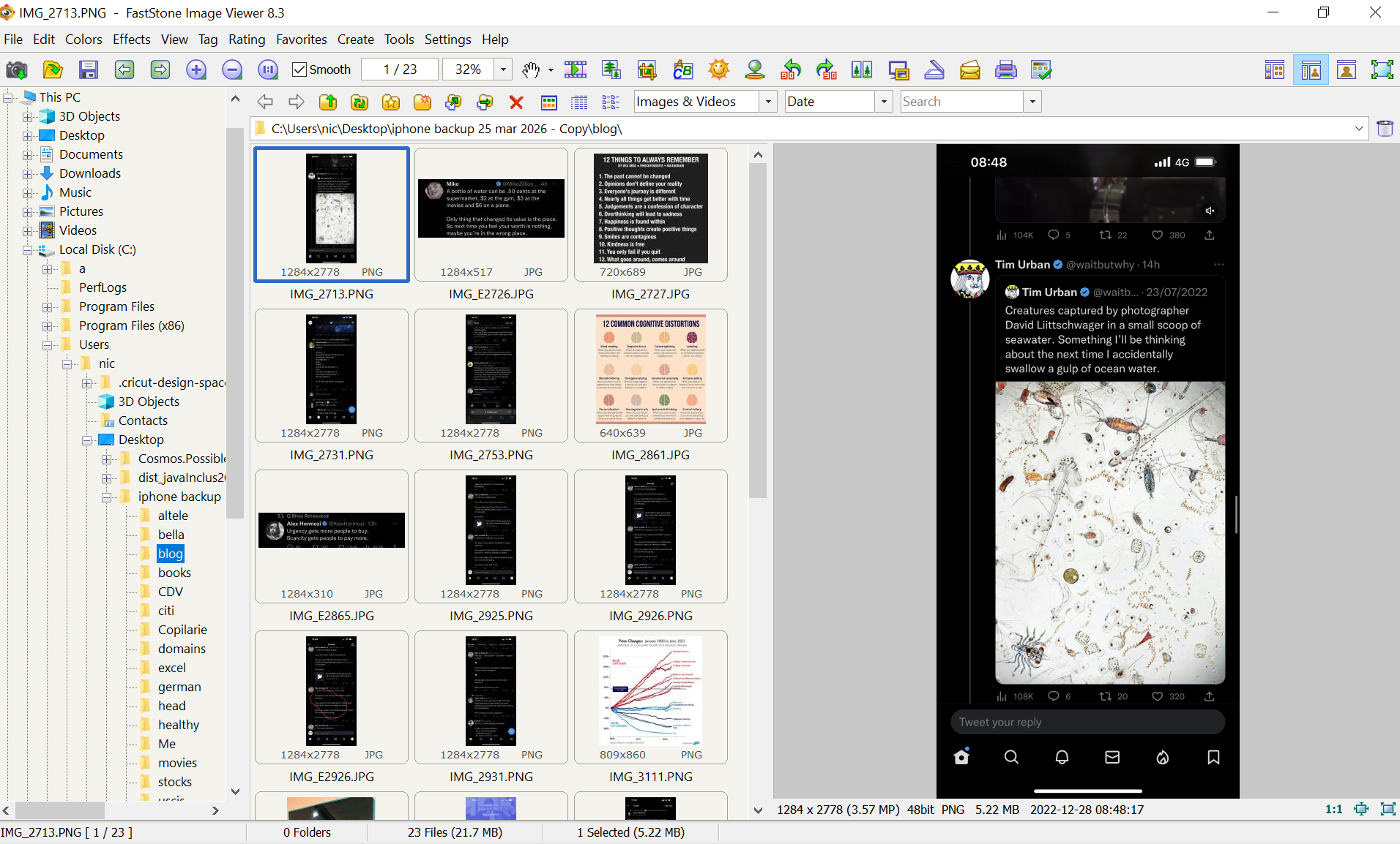 How to Review and Organize Thousands of Photos (Without Losing Your Mind)